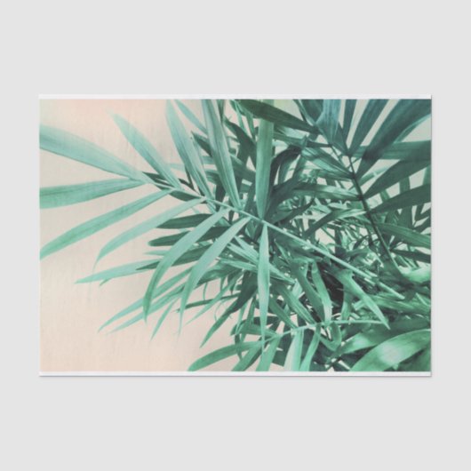 Papier Mousseline Paume tropicale (Recto)