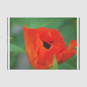 Papier Mousseline Pavot orange vibrant