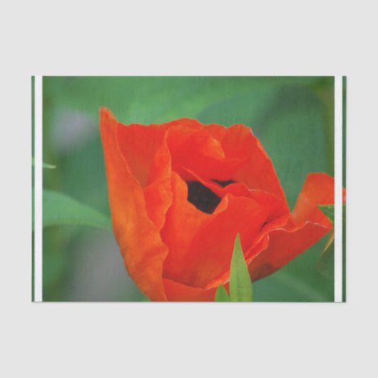 Papier Mousseline Pavot orange vibrant (Recto)