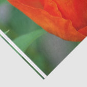 Papier Mousseline Pavot orange vibrant (Détail)
