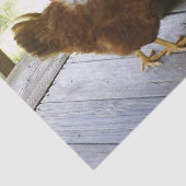 Papier Mousseline Pays (Détail)