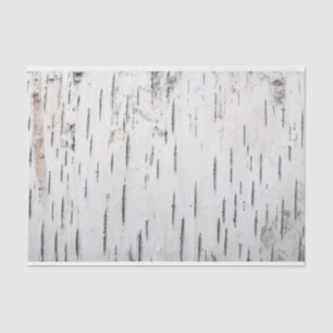 Papier Mousseline Pays Barre rustique de bouleau