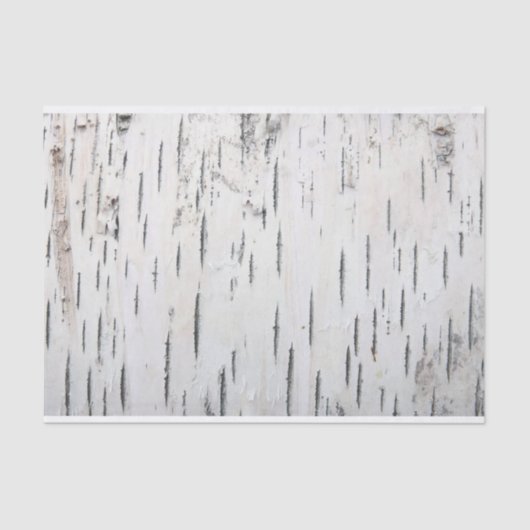 Papier Mousseline Pays Barre rustique de bouleau (Recto)