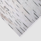 Papier Mousseline Pays Barre rustique de bouleau (Détail)