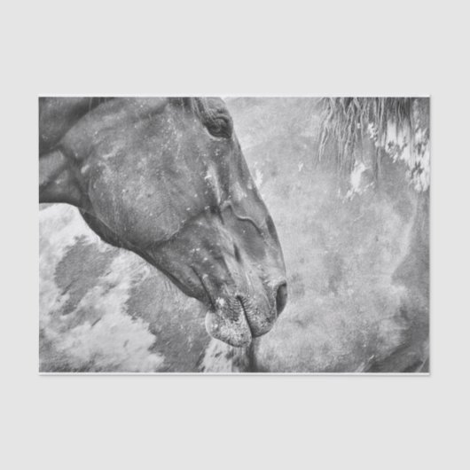 Papier Mousseline Pays du cheval Découpage rustique noir et blanc (Recto)