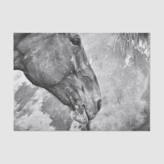 Papier Mousseline Pays du cheval Découpage rustique noir et blanc (Recto)