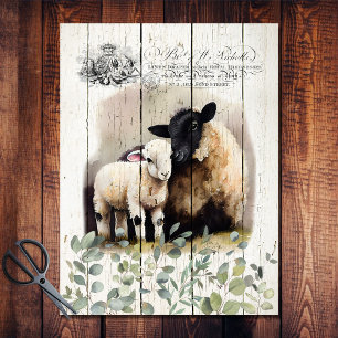 Papier Mousseline Pays Français Botanique Suffolk Sheep