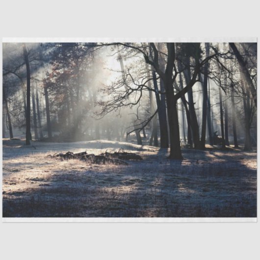 Papier Mousseline Paysage forestier 23 Feuillet de papier de découpa (Recto)