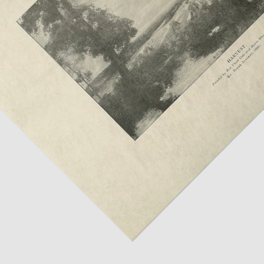 Papier Mousseline Paysage Récolte Arbres Ephémère Découpage (Détail)