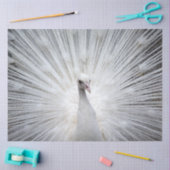 Papier Mousseline Peacock 20160401 (Artisanat)
