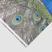 Papier Mousseline peacock-3.jpg (Détail)