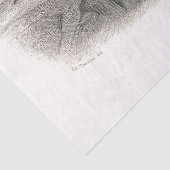 Papier Mousseline Peacock Bird Cour française Découpage Vintage (Détail)