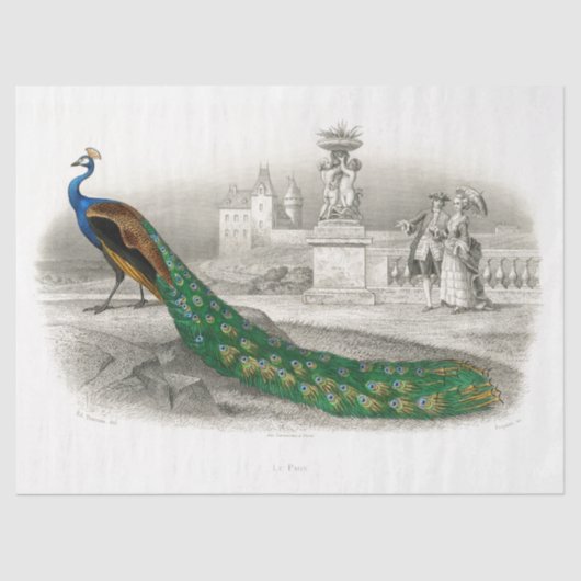 Papier Mousseline Peacock Bird Cour française Découpage Vintage (Recto)