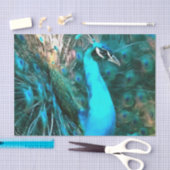 Papier Mousseline Peacock Bleu Vibrant Avec Queue Fissée (Artisanat)