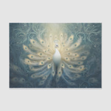 Peacock en fleur, Plumes blanches, Élégance