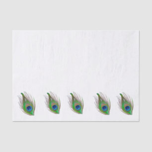 Papier Mousseline Peacock feather bordered tispaper