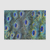 Papier Mousseline Peacock feather monogrammable (Recto)