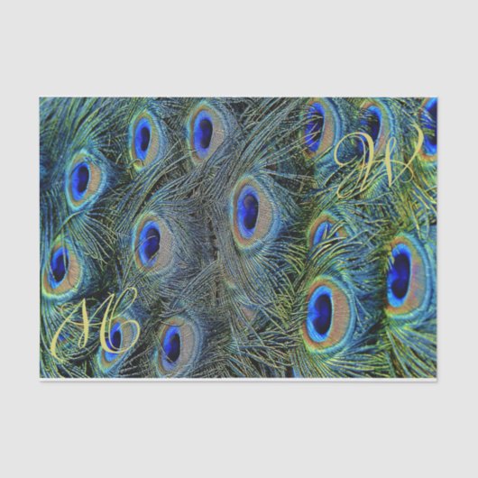 Papier Mousseline Peacock feather monogrammable (Recto)