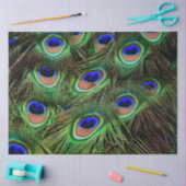 Papier Mousseline Peacock Feathers Arrière - plan Decoupage Tissu Pa (Artisanat)