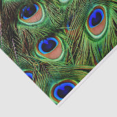 Papier Mousseline Peacock Feathers Decoupage Tissu Papier (Détail)