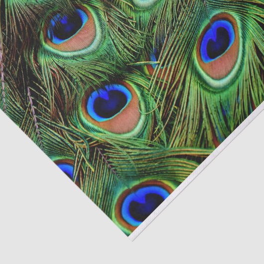 Papier Mousseline Peacock Feathers Decoupage Tissu Papier (Détail)