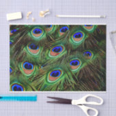 Papier Mousseline Peacock Feathers Decoupage Tissu Papier (Artisanat)