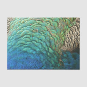 Papier Mousseline Peacock Plumes I Colorful Abstrait Nature Design