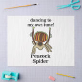 Papier Mousseline Peacock Spider Funny (Artisanat)