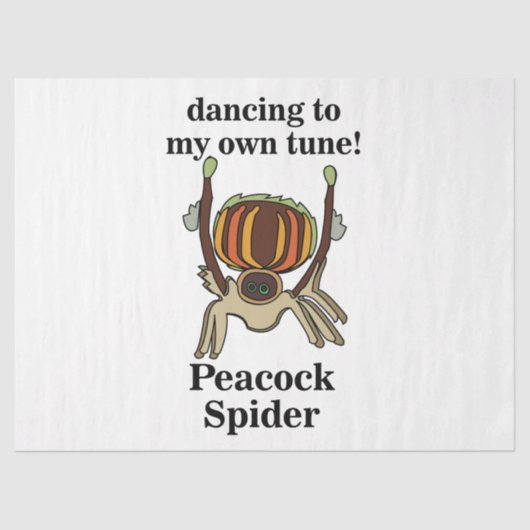 Papier Mousseline Peacock Spider Funny (Recto)