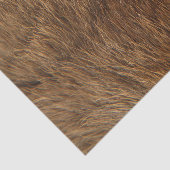 Papier Mousseline Peau animale Brown Ours Abstrait Minimal Petite (Détail)