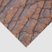 Papier Mousseline Peau d'éléphant (Détail)