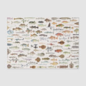 Papier Mousseline Pêche de poisson fête d'anniversaire (Recto)