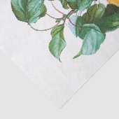 Papier Mousseline Pêches sur une branche (Détail)