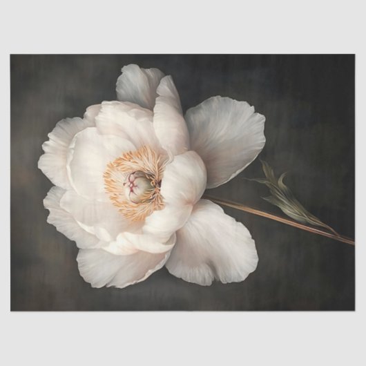 Papier Mousseline Peine blanche dans la page découpage de peinture b (Recto)