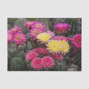 Papier Mousseline Peinture à fleur de cactus