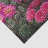 Papier Mousseline Peinture à fleur de cactus (Détail)