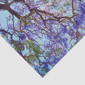 Papier Mousseline Peinture à l'huile de Jacaranda violet, papier de  (Détail)