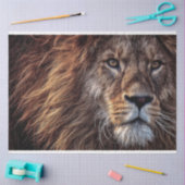 Papier Mousseline Peinture à l'huile de lion (Artisanat)