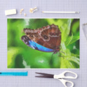 Papier Mousseline Peinture à papillon (Artisanat)