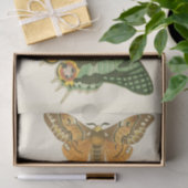 Papier Mousseline Peinture à papillon légèrement frontière (Cadeau)