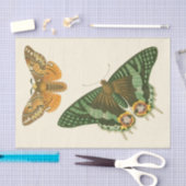 Papier Mousseline Peinture à papillon légèrement frontière (Artisanat)