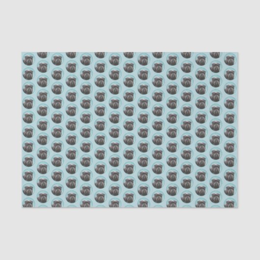 Papier Mousseline Peinture Affenpinscher - Joli art original chien (Recto)