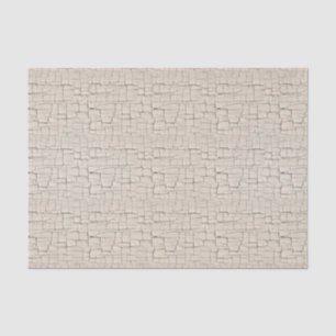 Papier Mousseline Peinture blanche antique de craquement de