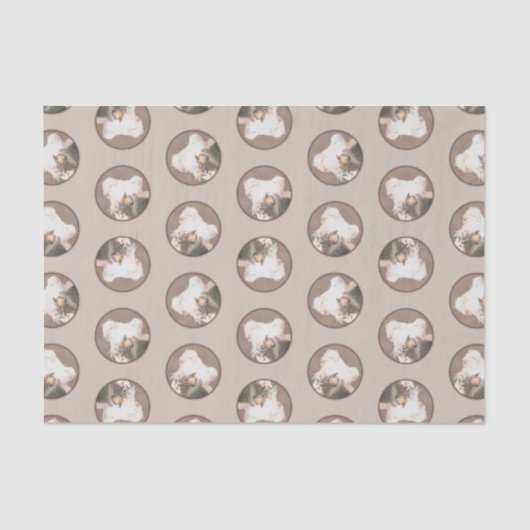 Papier Mousseline Peinture Chinoise sans cheveux peint art original  (Recto)