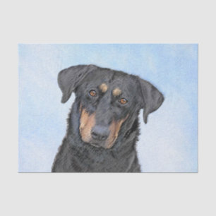 Papier Mousseline Peinture de Beauceron - Cute Original Chien Art
