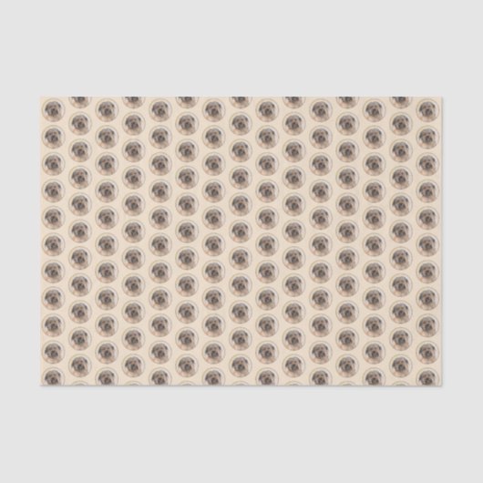 Papier Mousseline Peinture de berger pyrénéenne - Cute Original Chie (Recto)