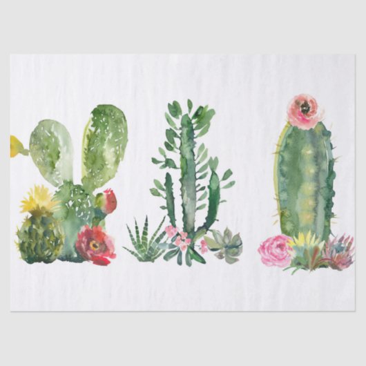 Papier Mousseline Peinture de cactus aquarelle (Recto)