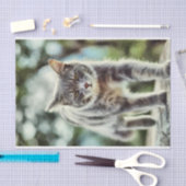 Papier Mousseline Peinture de chat (Artisanat)