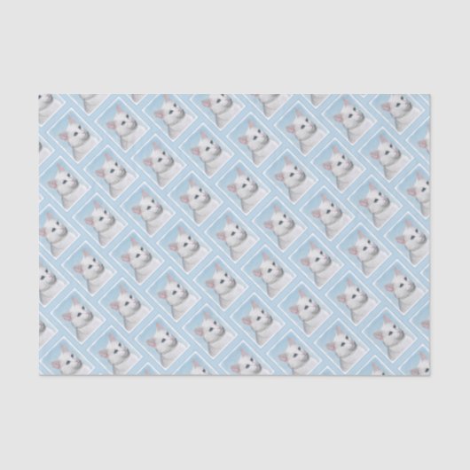 Papier Mousseline Peinture de chat blanc - Cute Original Cat Art (Recto)