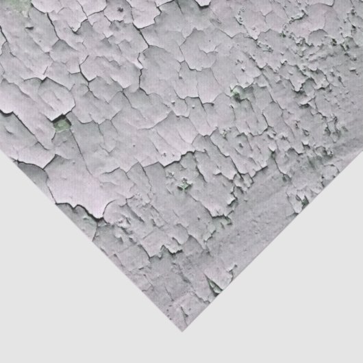 PAPIER MOUSSELINE PEINTURE DE PEELING ANCIENNE (Détail)